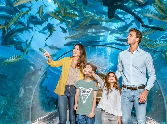 Dubai Mall Aquarium