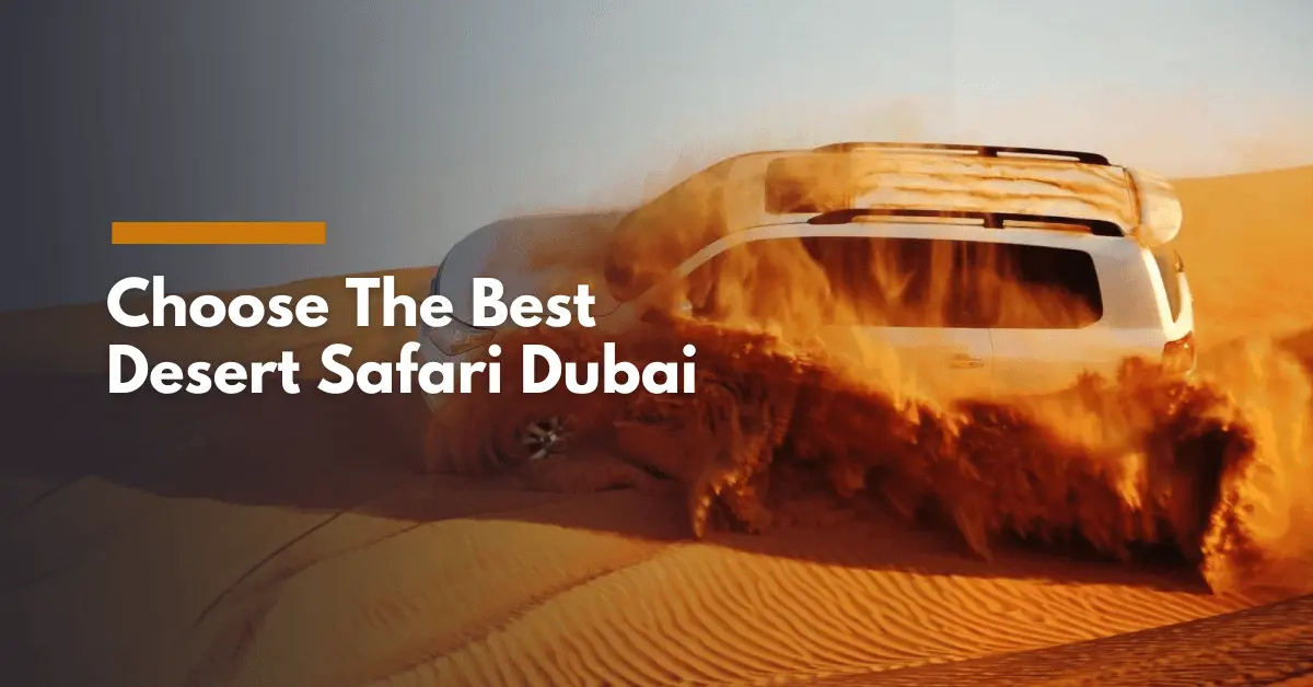How to Choose the Best Desert Safari Dubai Tour?