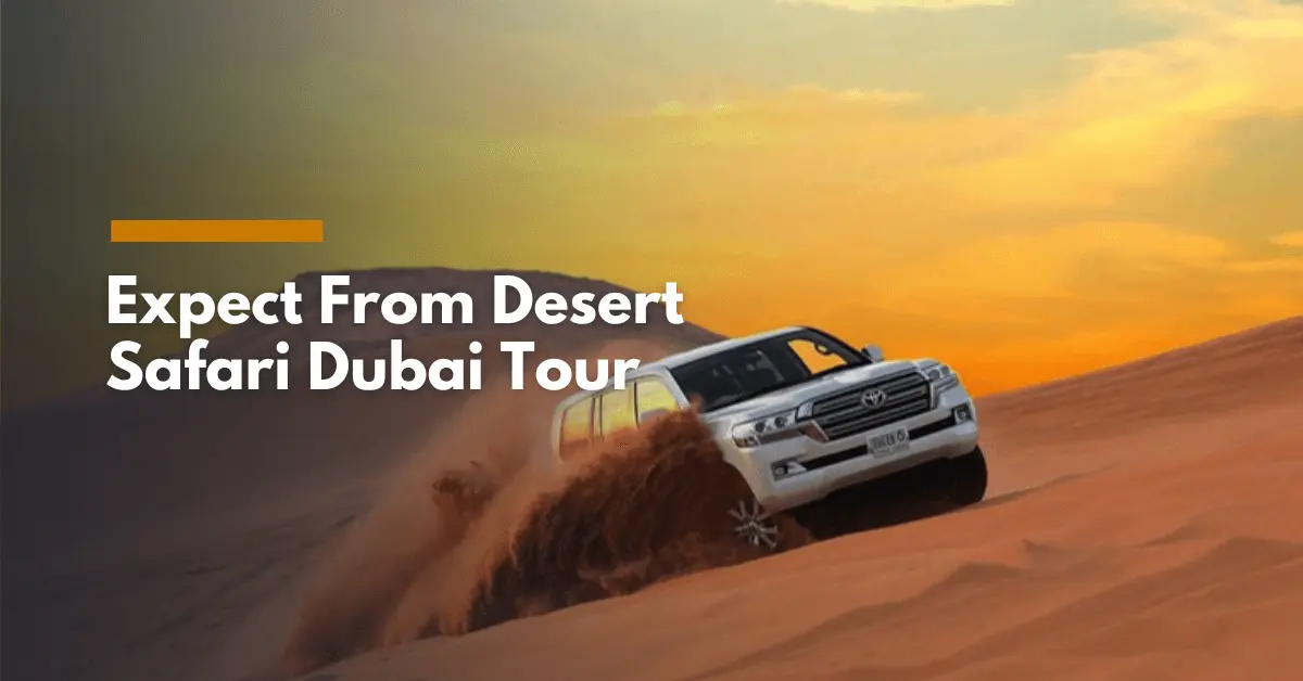 What To Expect From Desert Safari Dubai Tour?