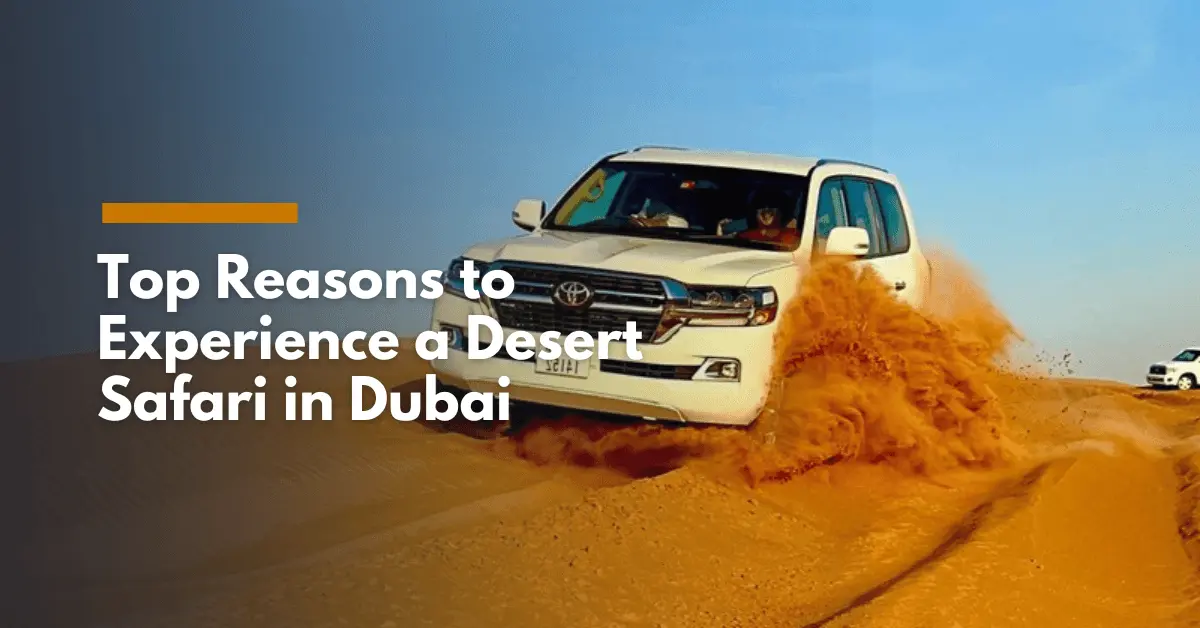 Top 5 Reasons to Experience a Desert Safari in Dubai