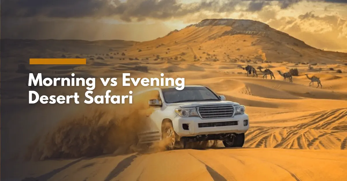 Morning vs Evening Desert Safari: Which One is Right for You?