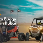 Guide to Buggy Riding in Dubai
