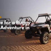 Prepare for a Buggy Riding in Dubai
