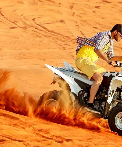 ATV Single Ride In Open Desert With Guide
