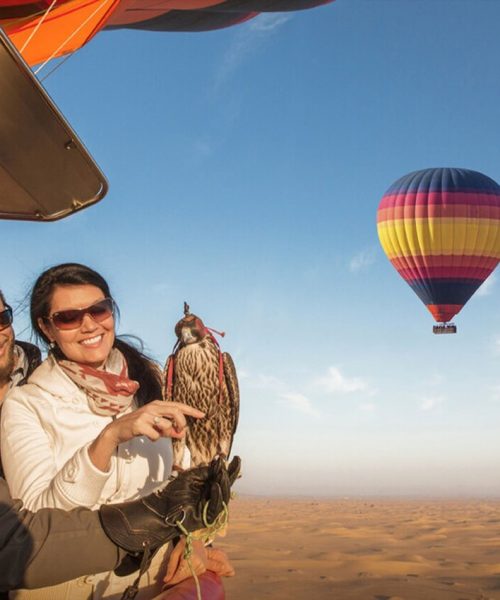 Air tour ride