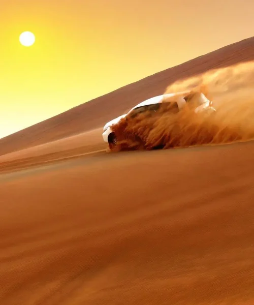 Desert Safari Tour