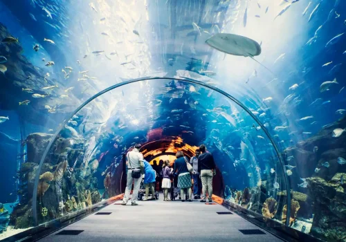 Seaworld Abu Dhabi